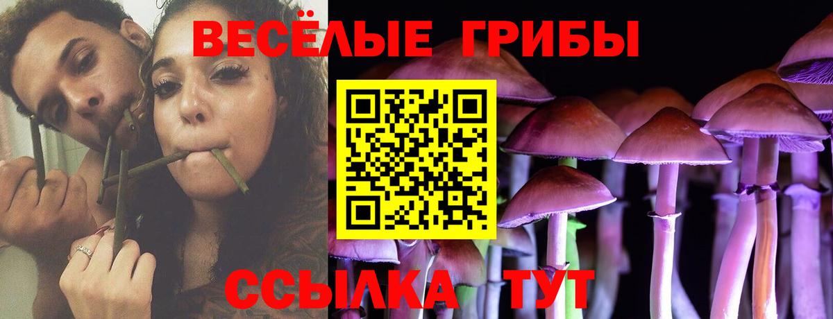 Галлюциногенные грибы Избербаш